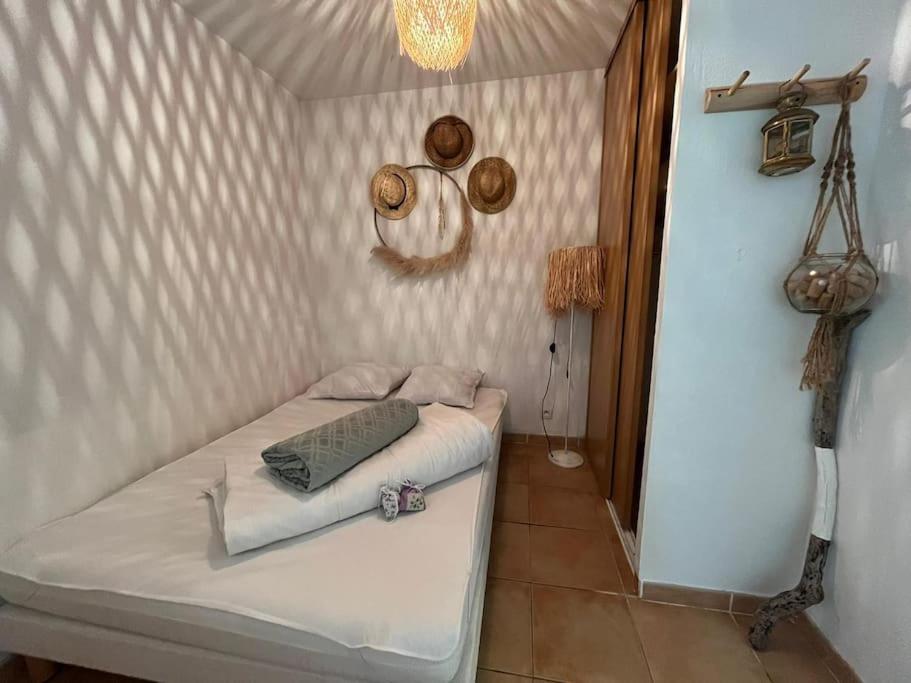 Studio Cabine Pour 4 - Piscine Argelès-sur-Mer Eksteriør billede